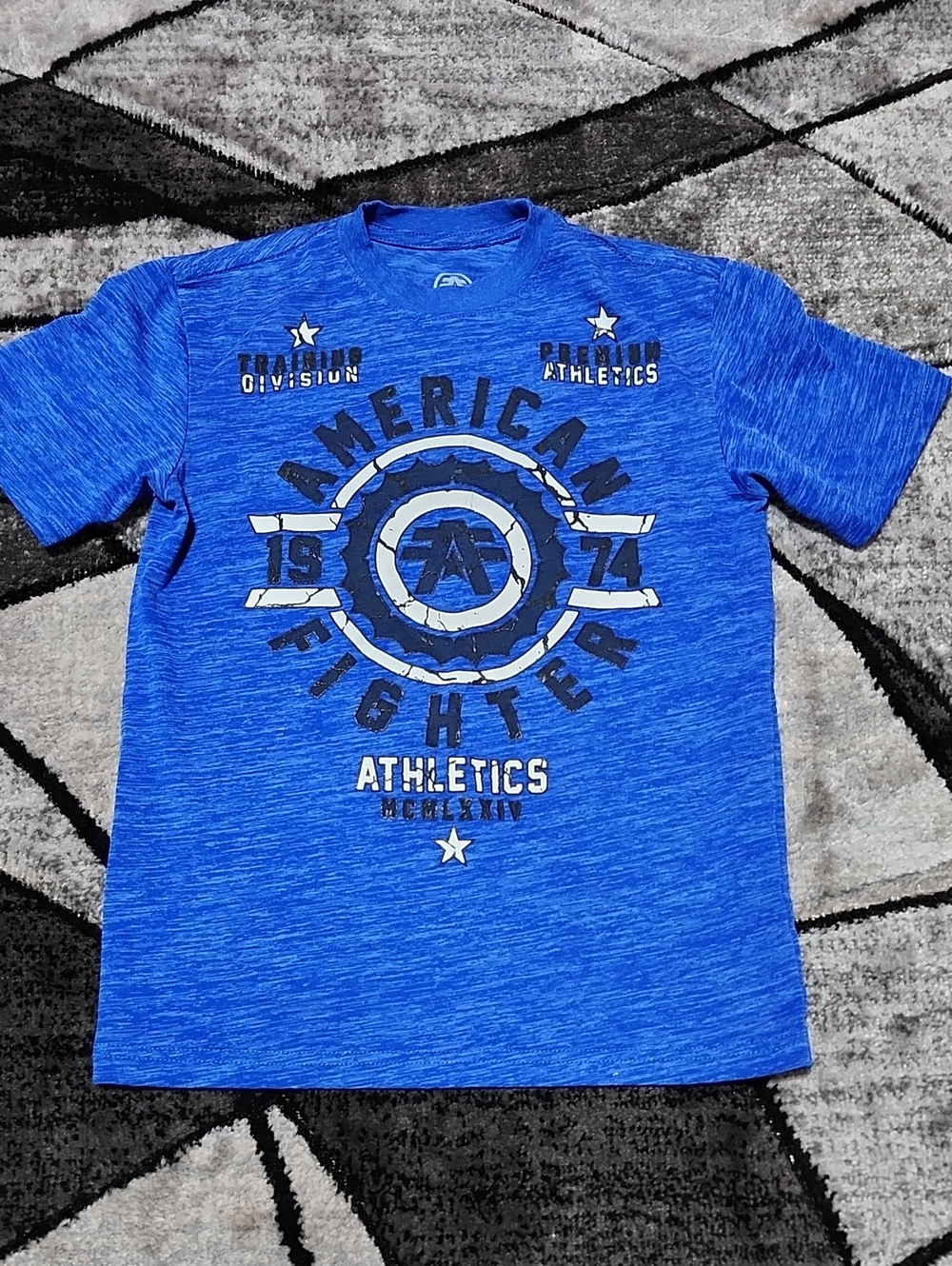 AMERICAN FIGHTER FAIR GROVE TRAINING DIVISION BLUE GRAPHIC CREWNECK TEESHIRT